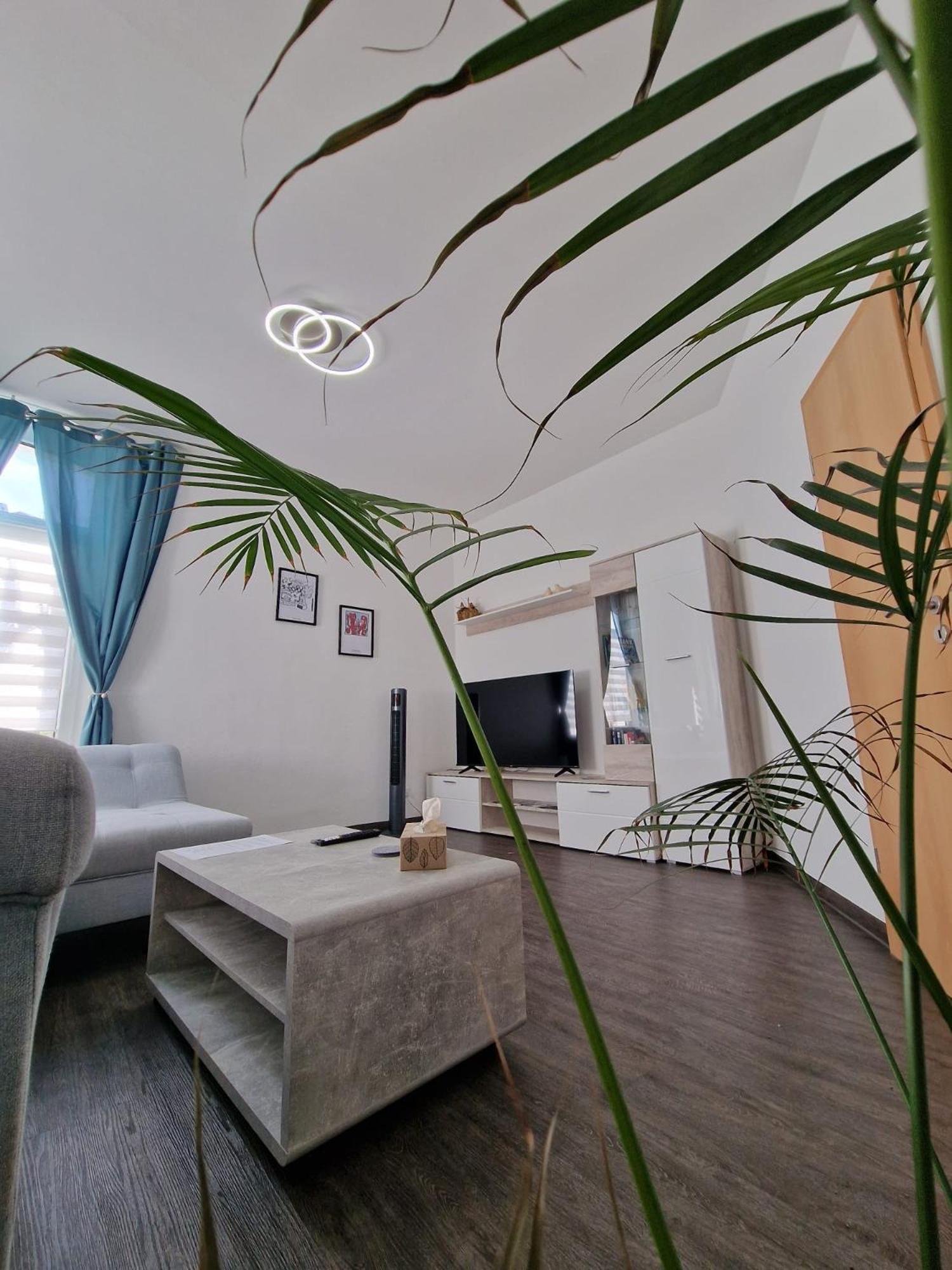 פלאואן Ferienwohnung Mit Fitnessstudio Top1 מראה חיצוני תמונה